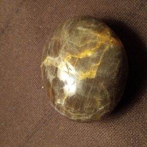 Black Moon Stone Palm stone